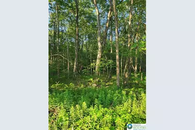 168 Cross Street #3, Pocono Lake, PA 18347 - Photo 3