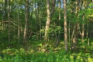 168 Cross St, Pocono Lake, PA 18347 - Photo 3