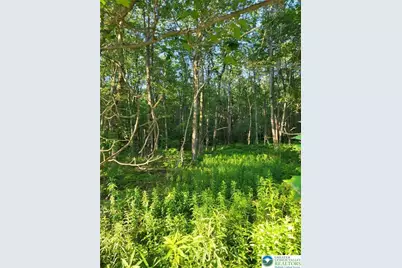 168 Cross Street #3, Pocono Lake, PA 18347 - Photo 5