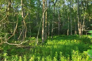 168 Cross St, Pocono Lake, PA 18347 - Photo 5