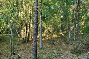 5120 Pine Tr Ln, Tobyhanna Twp, PA 18346 - Photo 3