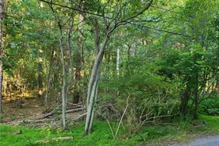 5120 Pine Tr Ln, Tobyhanna Twp, PA 18346 - Photo 5