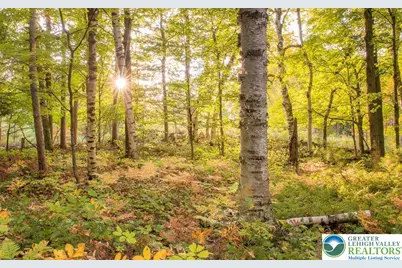 0 W Ridge Drive, Wayne, PA 18445 - Photo 7