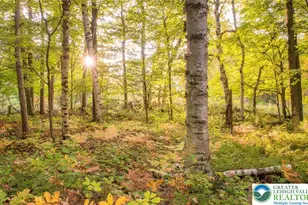 0 W Ridge Dr, Wayne, PA 18445 - Photo 7