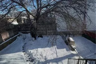 133 S 15th St, Allentown City, PA 18102 - Photo 27