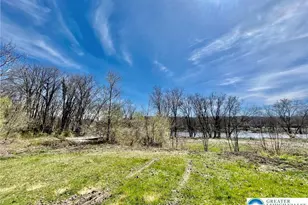 5675 Depues Rd, Lower Mt Bethel Twp, PA 18013 - Photo 5