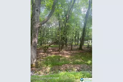 407 Pine Tree Road, Penn Forrest, PA 18210 - Photo 3