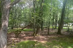 407 Pinetree Rd, Penn Forrest, PA 18210 - Photo 5