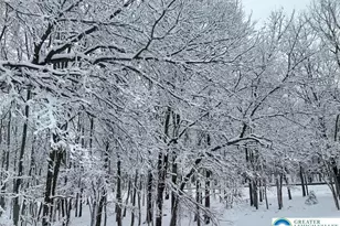 407 Pinetree Rd, Penn Forrest, PA 18210 - Photo 17