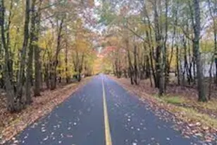 407 Pinetree Rd, Penn Forrest, PA 18210 - Photo 11