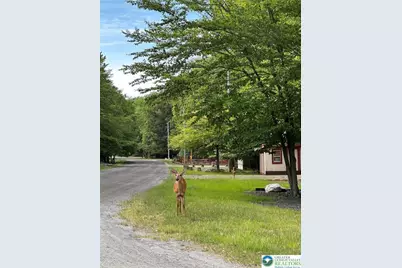 4331 Wildlife Way, Covington Township, PA 18424 - Photo 27