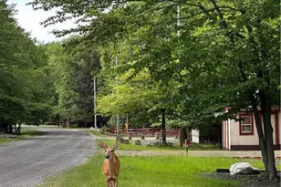 4331 Wildlife Way, Covington Township, PA 18424 - Photo 27