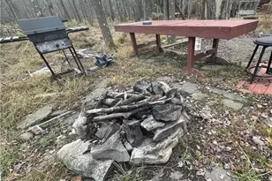 4331 Wildlife Way, Covington Township, PA 18424 - Photo 7