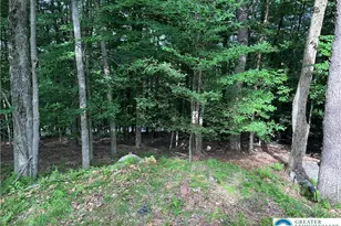 4331 Wildlife Way, Covington Township, PA 18424 - Photo 15