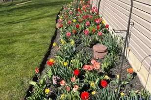 8121 Main St, Upper Macungie Township, PA 18051 - Photo 27