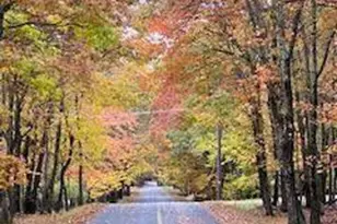 0 Deerfoot & Pine Tree Rd, Penn Forrest, PA 18210 - Photo 9