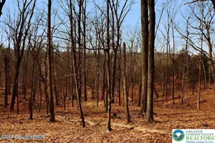 0 Deerfoot & Pine Tree Rd, Penn Forrest, PA 18210 - Photo 1