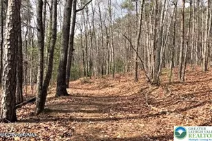 0 Deerfoot & Pine Tree Rd, Penn Forrest, PA 18210 - Photo 13