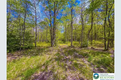 Cross Run Road #Lot 567, Penn Forrest, PA 18229 - Photo 3