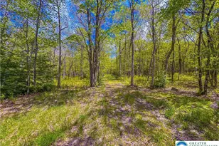 Cross Run Rd, Penn Forrest, PA 18229 - Photo 3