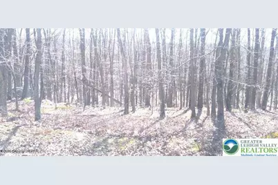 132 Kenoza Drive, North Union Township, PA 18202 - Photo 1