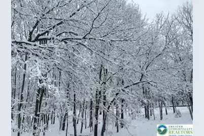 407 Sassafras Road, Penn Forrest, PA 18210 - Photo 5