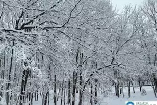 407 Sassafras Rd, Penn Forrest, PA 18210 - Photo 19