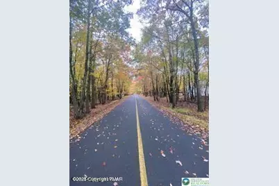 407 Sassafras Road, Penn Forrest, PA 18210 - Photo 13