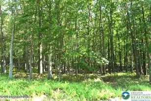 407 Sassafras Rd, Penn Forrest, PA 18210 - Photo 1