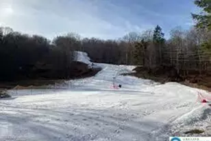 Spring Ct, Pike, PA 18324 - Photo 7