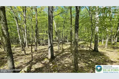 Spring Court, Pike, PA 18324 - Photo 5