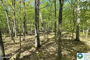 Spring Ct, Pike, PA 18324 - Photo 5