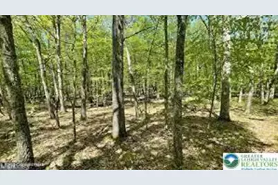 Spring Court, Pike, PA 18324 - Photo 11