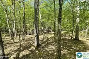 Spring Ct, Pike, PA 18324 - Photo 11