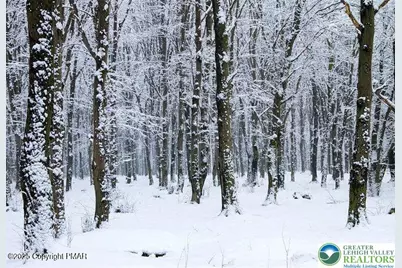 Spring Court, Pike, PA 18324 - Photo 3