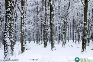 Spring Ct, Pike, PA 18324 - Photo 3