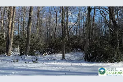 Oakland Drive, Kidder Twp, PA 18210 - Photo 3