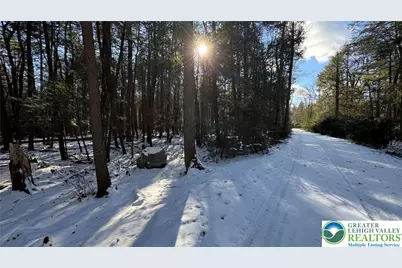 Treetop Lane, Kidder Twp, PA 18210 - Photo 3