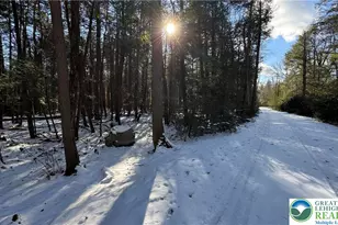 Treetop Ln, Kidder Twp, PA 18210 - Photo 3