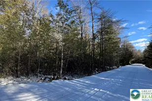 Driftwood Dr, Kidder Twp, PA 18210 - Photo 3