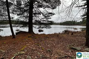 125 Achill Ln, Dingmans Ferry, PA 18328 - Photo 71