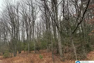 Erie Ct, Chestnuthill Twp, PA 18330 - Photo 9