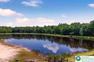 1807 Penn Forest Dr, Penn Forrest, PA 18210 - Photo 11