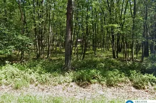 71 Pawnee Trail, Penn Forrest, PA 18210 - Photo 3