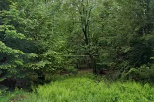 3113 Holiday Dr, Pocono Summit, PA 18346 - Photo 3