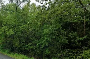 3113 Holiday Dr, Pocono Summit, PA 18346 - Photo 7