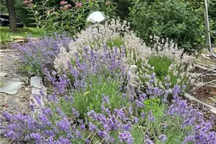 6335 Red Fox, Upper Saucon Township, PA 18036 - Photo 57