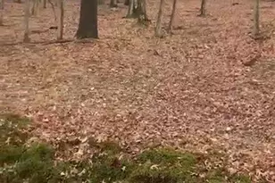 124 Shawnee Trail, Penn Forrest, PA 18210 - Photo 3