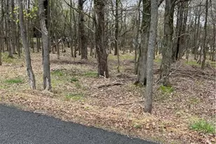 255 Pontiac Path Trail, Pocono Lake, PA 18347 - Photo 1