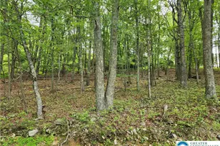 Seneca Rd, East Stroudsburg, PA 18302 - Photo 5